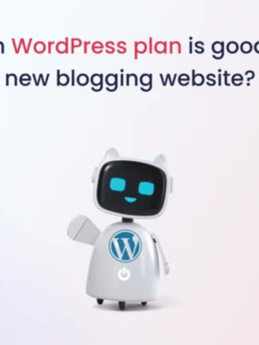 Which WordPress Plan Is Good For A New Blogging Website?