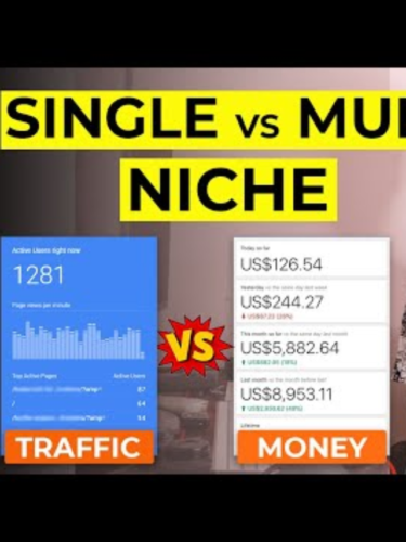 Is single niche or multi niche blogging website beneficial?